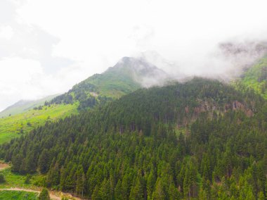 Bulutlardaki dağ zirvesi, Türkiye Karadeniz Bölgesi Rize kenti