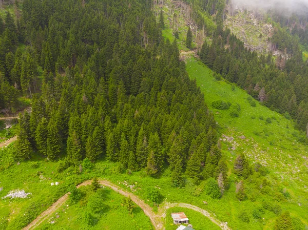 Vrchol Hory Oblacích Turecko Karadenizová Zóna Rize Město — Stock fotografie