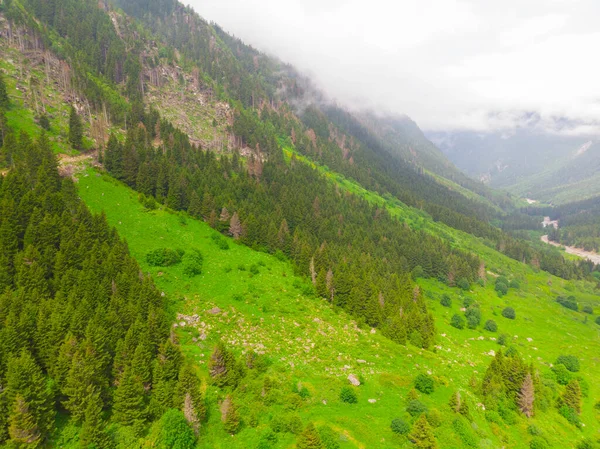 Pico Montaña Las Nubes Turquía Karadeniz Zona Rize Ciudad —  Fotos de Stock