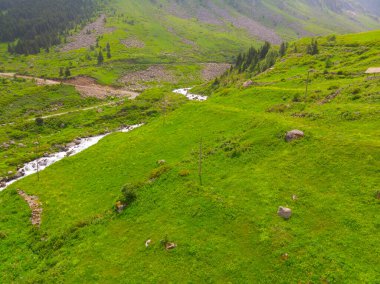Bulutlardaki dağ zirvesi, Türkiye Karadeniz Bölgesi Rize kenti