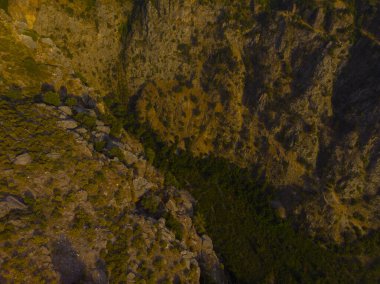 Akdeniz kıyısında Fethiye Kabak Türkiye yakınlarında. Çam, manzara.