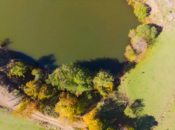 自然公園を保存 湖と山 空の景色 Artvin トルコ — ストック写真