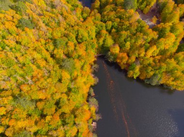 Türkiye 'de Bolu ve Seven Lakes ulusal parkı hava manzarası.