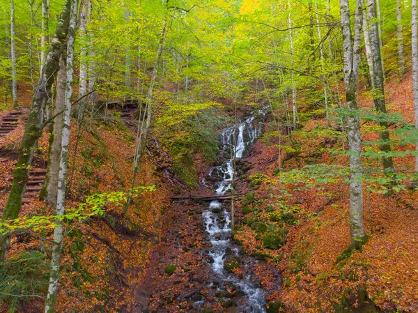 Bolu Seven Lakes National Park Αεροφωτογραφία Στην Τουρκία — Φωτογραφία Αρχείου