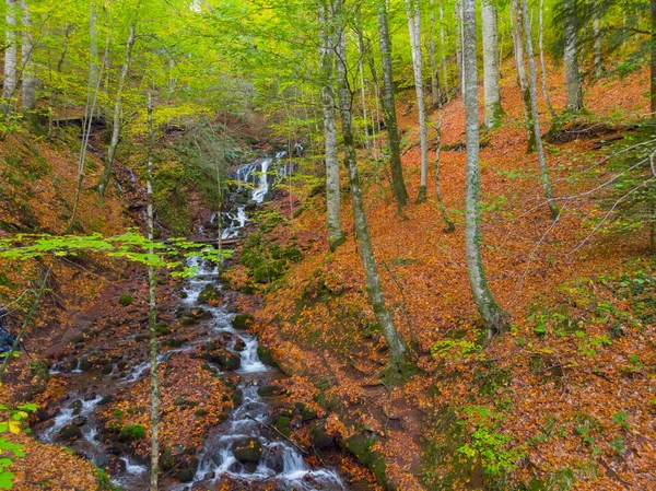 Bolu Seven Lakes Nationalpark Flygbild Turkiet — Stockfoto