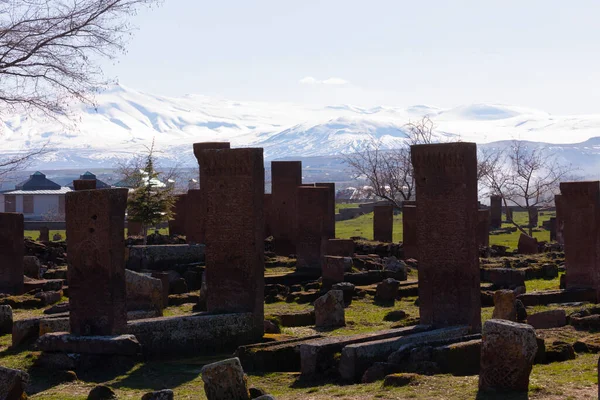 Cemitério Seljúcida Ahlat Lápides Dos Notáveis Islâmicos Medievais — Fotografia de Stock