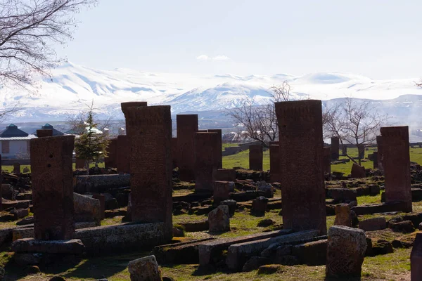 Seljuk Cementerio Ahlat Las Lápidas Notables Islámicos Medievales — Foto de Stock