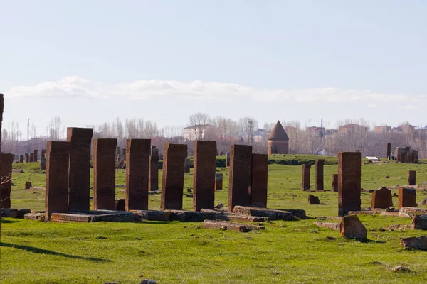 Seljuk Cementerio Ahlat Las Lápidas Notables Islámicos Medievales — Foto de Stock