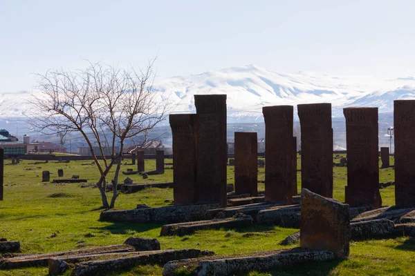 Seljuk Cementerio Ahlat Las Lápidas Notables Islámicos Medievales — Foto de Stock