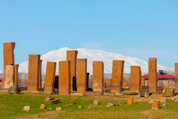 Seltsjoek Begraafplaats Van Ahlat Grafstenen Van Middeleeuwse Islamitische Notabelen — Stockfoto