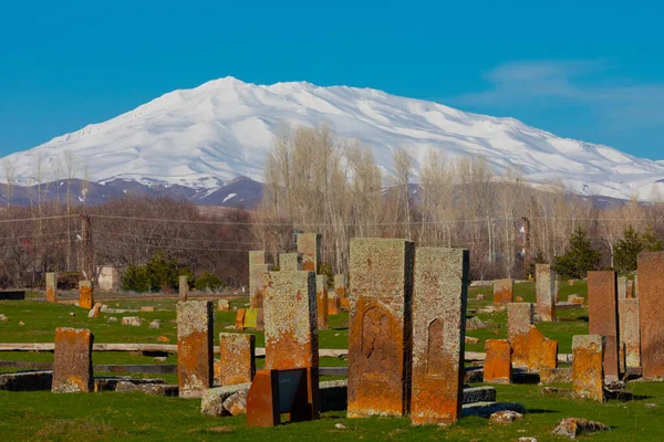 Seltsjoek Begraafplaats Van Ahlat Grafstenen Van Middeleeuwse Islamitische Notabelen — Stockfoto