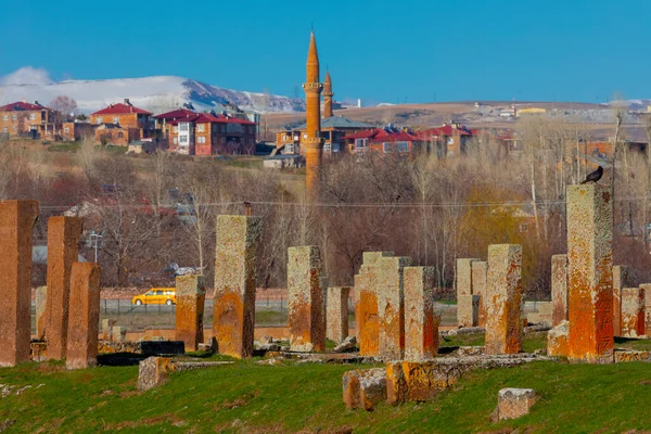 Ahlat Seljuk Mezarlığı Ortaçağ Slam Mezarı — Stok fotoğraf