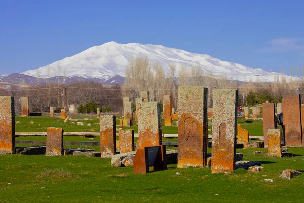 Seltsjoek Begraafplaats Van Ahlat Grafstenen Van Middeleeuwse Islamitische Notabelen — Stockfoto