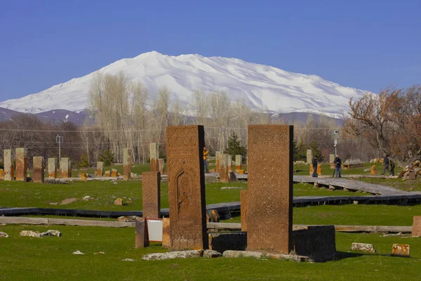 Seltsjoek Begraafplaats Van Ahlat Grafstenen Van Middeleeuwse Islamitische Notabelen — Stockfoto