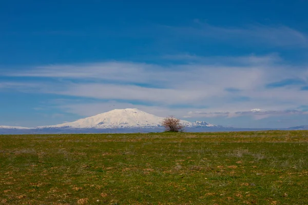 Mount Ararat Agri Dagi Berg Skyline Vulkaan Igdir Turkije Midden — Stockfoto