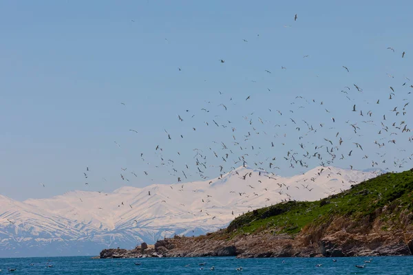 Carpanak Sland Suphan Mountain Van Τουρκία — Φωτογραφία Αρχείου