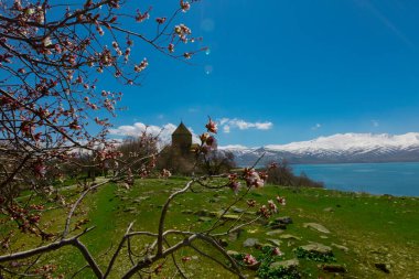 Akdamar Adası 'ndaki Ermeni Kutsal Haç Katedrali. Hindi. Bulutlu, dekorasyon.