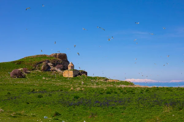 Reruntuhan Gereja Altinsac Danau Van Turki Agama Akdamar — Stok Foto