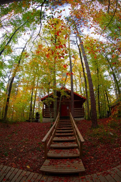 Hojas Otoño Parque Nacional Yedigoller Turquía — Foto de Stock