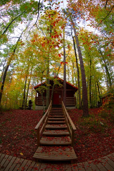 Hojas Otoño Parque Nacional Yedigoller Turquía — Foto de Stock