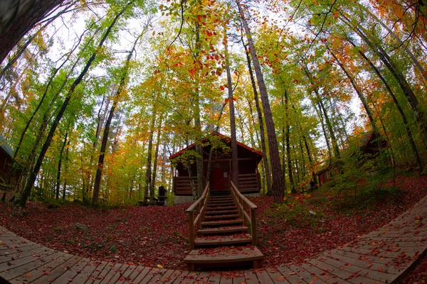 Hojas Otoño Parque Nacional Yedigoller Turquía — Foto de Stock