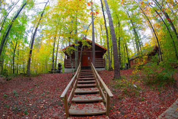 Hojas Otoño Parque Nacional Yedigoller Turquía — Foto de Stock