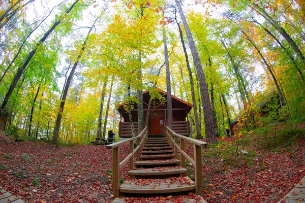 土耳其耶迪戈勒国家公园的秋叶 — 图库照片