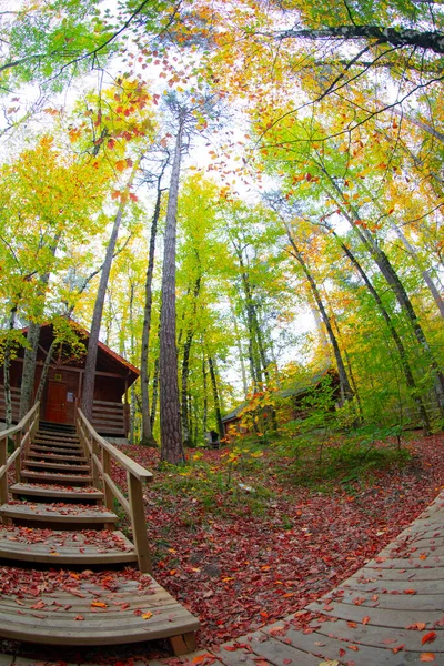 Hojas Otoño Parque Nacional Yedigoller Turquía — Foto de Stock