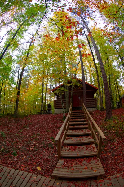 Hojas Otoño Parque Nacional Yedigoller Turquía —  Fotos de Stock