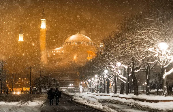 Santa Sofia Nuova Moschea Istanbul — Foto Stock