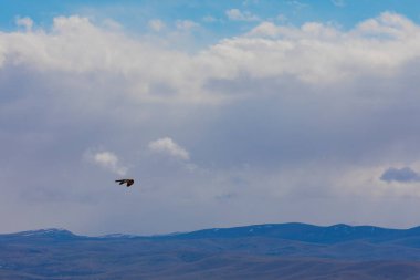 Tunceli-Mercan Dağları (Munzur) 3370 metredir. Tunceli ve Erzincan illeri arasında yükselen merkez Taurus Dağları ile Kuzey Anadolu Dağları ve Güneydoğu Taurus Dağları arasında uzanır..