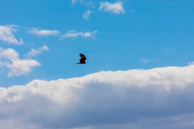 Tunceli-Mercan Dağları (Munzur) 3370 metredir. Tunceli ve Erzincan illeri arasında yükselen merkez Taurus Dağları ile Kuzey Anadolu Dağları ve Güneydoğu Taurus Dağları arasında uzanır..