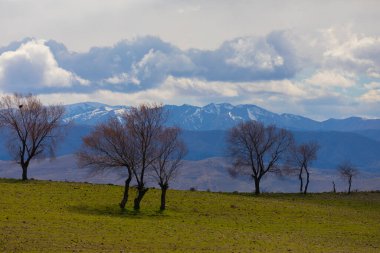 Tunceli-Mercan Dağları (Munzur) 3370 metredir. Tunceli ve Erzincan illeri arasında yükselen merkez Taurus Dağları ile Kuzey Anadolu Dağları ve Güneydoğu Taurus Dağları arasında uzanır..