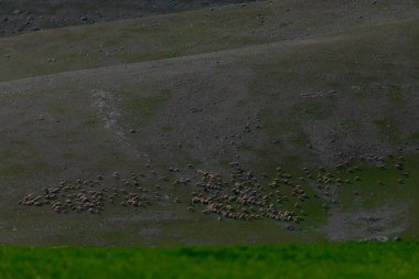 Tunceli-Mercan Dağları (Munzur) 3370 metredir. Tunceli ve Erzincan illeri arasında yükselen merkez Taurus Dağları ile Kuzey Anadolu Dağları ve Güneydoğu Taurus Dağları arasında uzanır..