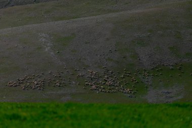Tunceli-Mercan Dağları (Munzur) 3370 metredir. Tunceli ve Erzincan illeri arasında yükselen merkez Taurus Dağları ile Kuzey Anadolu Dağları ve Güneydoğu Taurus Dağları arasında uzanır..