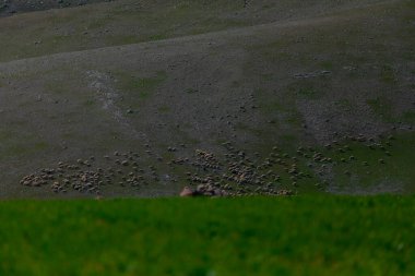 Tunceli-Mercan Dağları (Munzur) 3370 metredir. Tunceli ve Erzincan illeri arasında yükselen merkez Taurus Dağları ile Kuzey Anadolu Dağları ve Güneydoğu Taurus Dağları arasında uzanır..