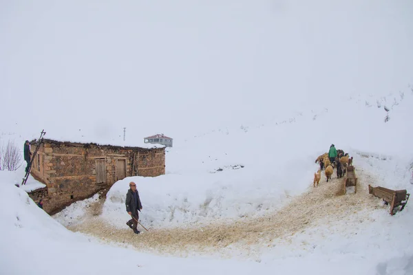 Tunceli Villages Montagne Rivière Munzur Hiver Vie Difficile Vie Périphérie — Photo