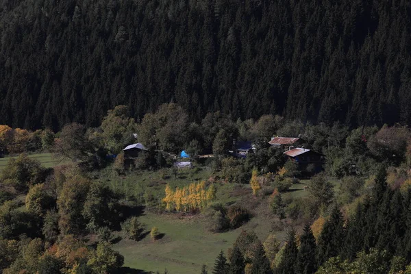 Όμορφο Καλοκαιρινό Τοπίο Στο Savsat Επαρχία Artvin Τουρκία — Φωτογραφία Αρχείου