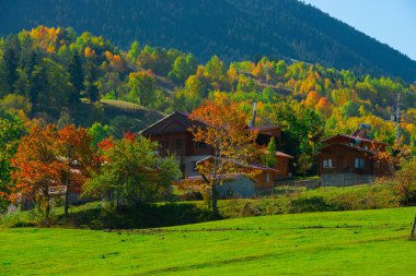 Muhteşem Köy Fotoğrafları ve Dağ Manzaraları. Savsat, Artvin - Türkiye