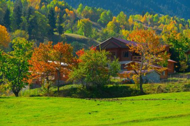 Muhteşem Köy Fotoğrafları ve Dağ Manzaraları. Savsat, Artvin - Türkiye