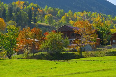Muhteşem Köy Fotoğrafları ve Dağ Manzaraları. Savsat, Artvin - Türkiye