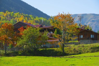 Muhteşem Köy Fotoğrafları ve Dağ Manzaraları. Savsat, Artvin - Türkiye