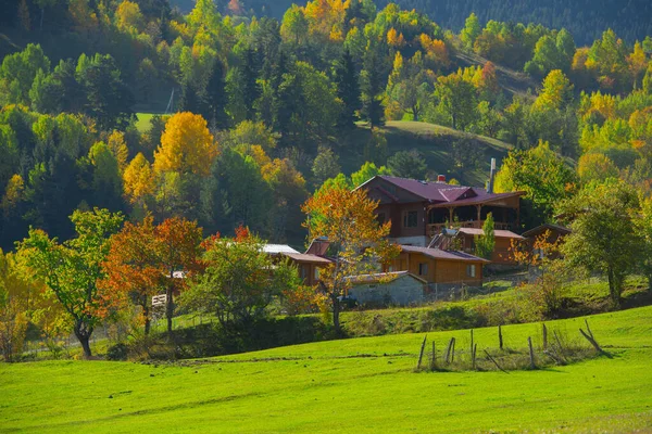 Amazing Village Photos Mountain Landscapes Savsat Artvin Turkey — Stock Photo, Image