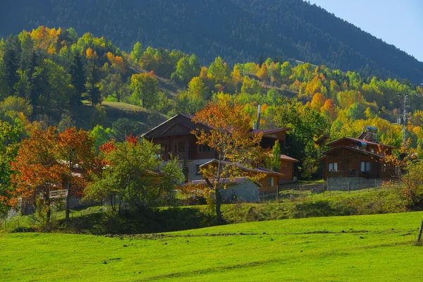 Photos Étonnantes Village Paysages Montagne Savsat Artvin Turquie — Photo