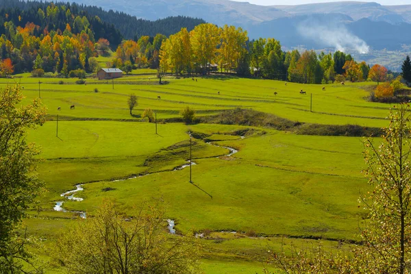 Savsat Village Φθινόπωρο Πολύχρωμο Artvin Τουρκία — Φωτογραφία Αρχείου