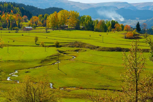 Savsat Village Ősszel Színes Artvin Törökország — Stock Fotó