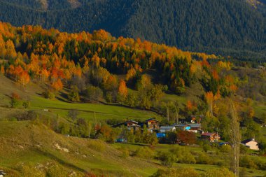 Savsat (avat) Karadeniz Bölgesi 'nin en güzel doğasına sahip nadir yerlerden biridir., 