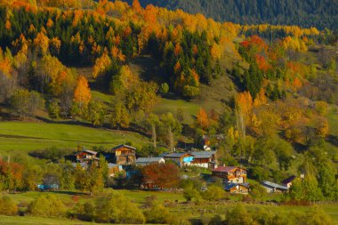 Savsat (avat) Karadeniz Bölgesi 'nin en güzel doğasına sahip nadir yerlerden biridir., 