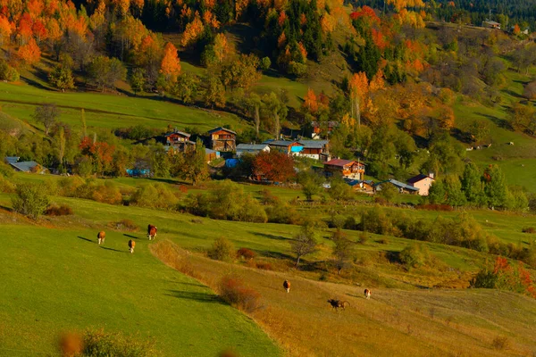 Savsat Avat Dos Lugares Raros Com Mais Bela Natureza Região — Fotografia de Stock