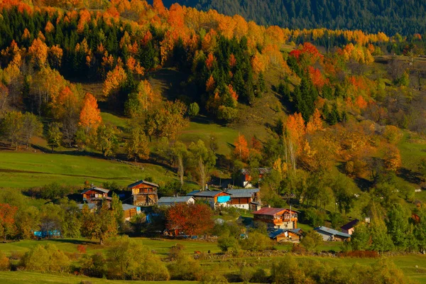 Savsat Avat Est Des Rares Endroits Avec Belle Nature Région — Photo